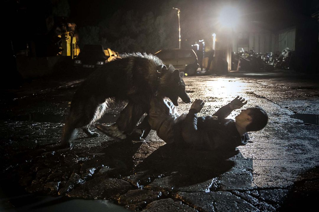 The Last Panthers : Fotos