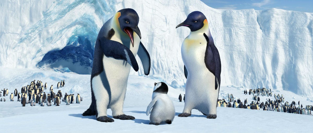 Happy Feet - O Pinguim : Fotos