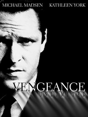 Vengeance Unlimited : Poster