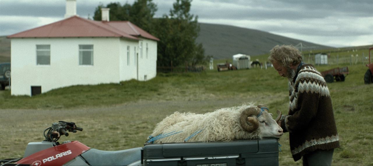 A Ovelha Negra : Fotos Sigurður Sigurjónsson