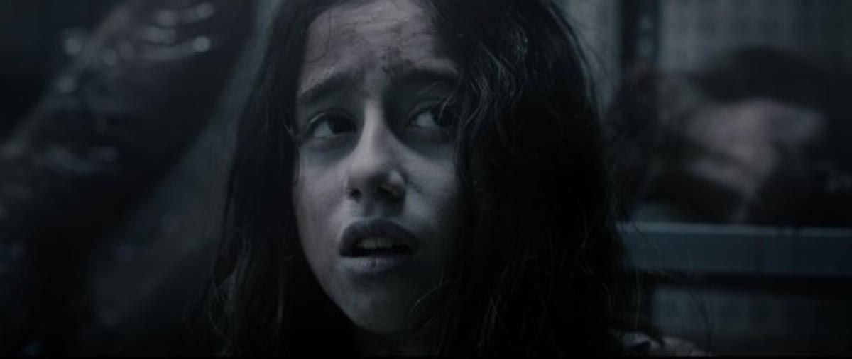 Fotos Priscilla Delgado