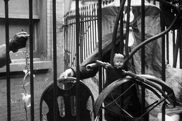 Star Spangled to Death : Fotos