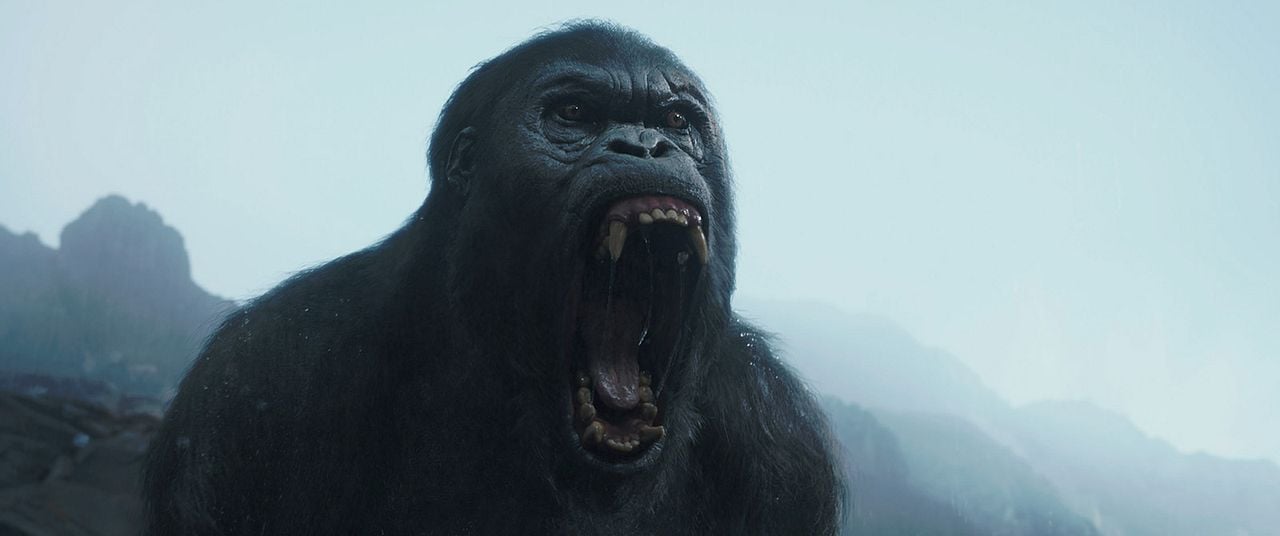 A Lenda de Tarzan : Fotos