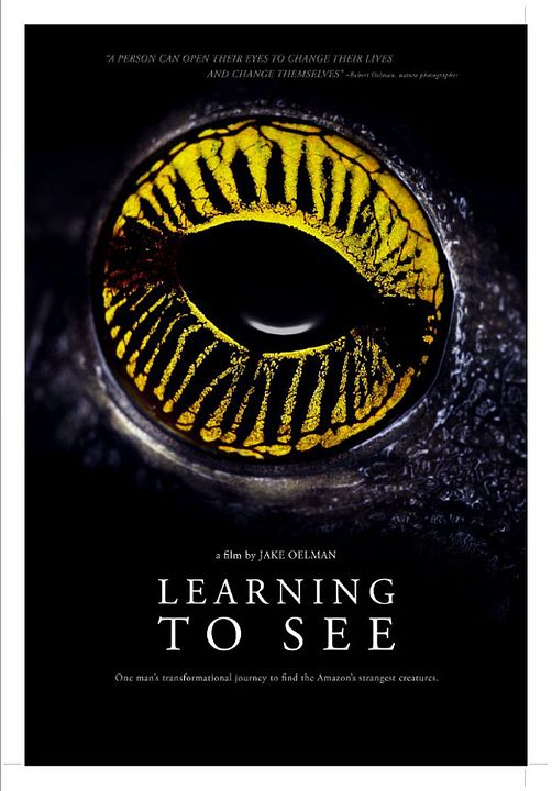 Learning to See - The World of Insects : Poster