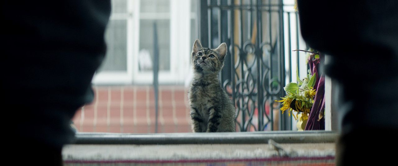 Keanu: Cadê Meu Gato?! : Fotos