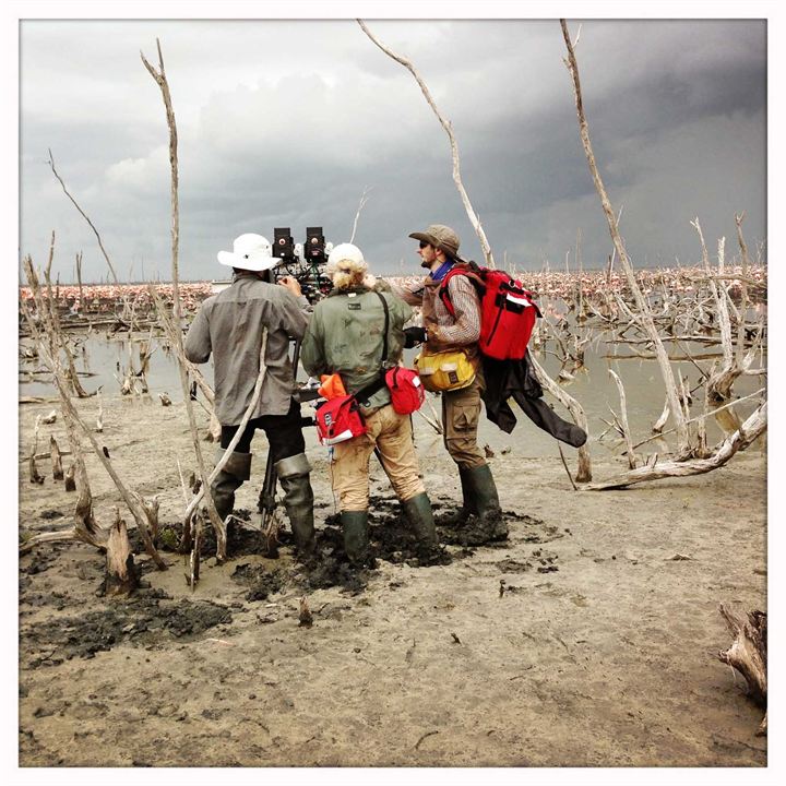 Ouragan : Fotos