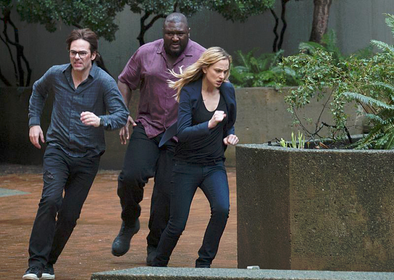 Zoo : Fotos Kristen Connolly, Nonso Anozie, Billy Burke