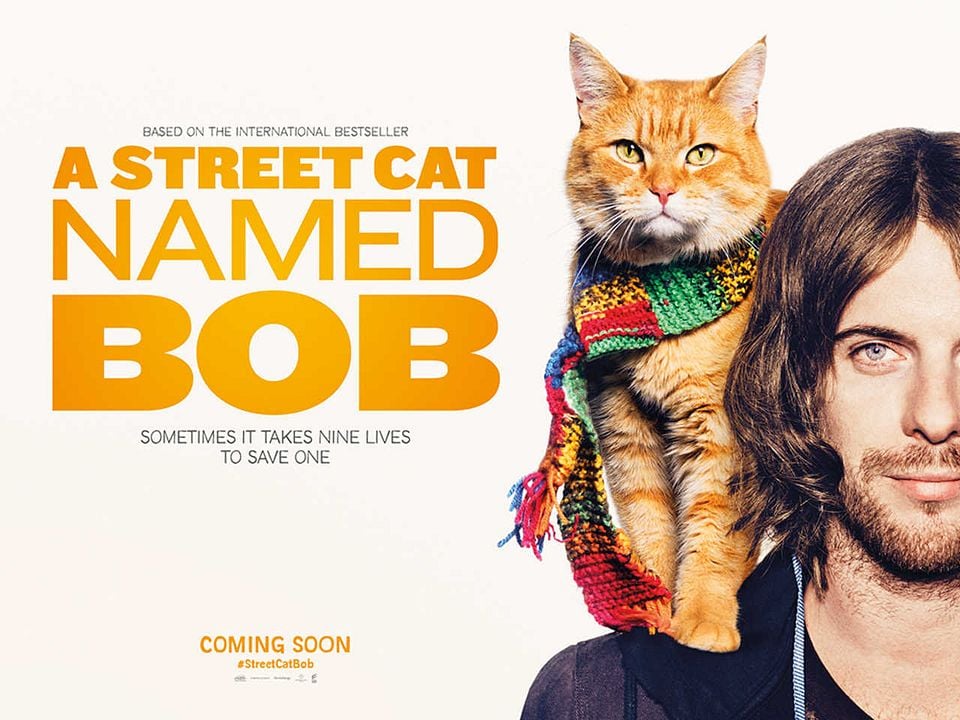 Um Gato de Rua Chamado Bob : Poster