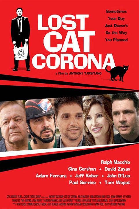 Lost Cat Corona : Poster