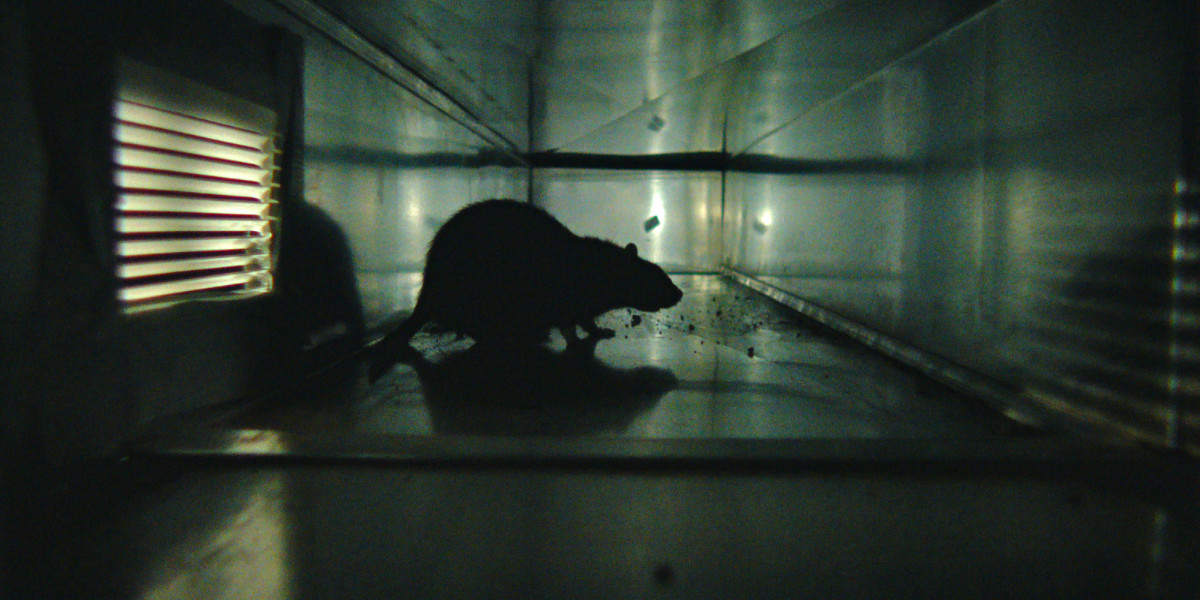 Rats: Realidade Urbana : Fotos