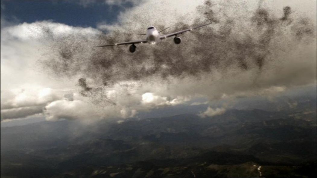 Locusts - O Dia da Destruição : Fotos