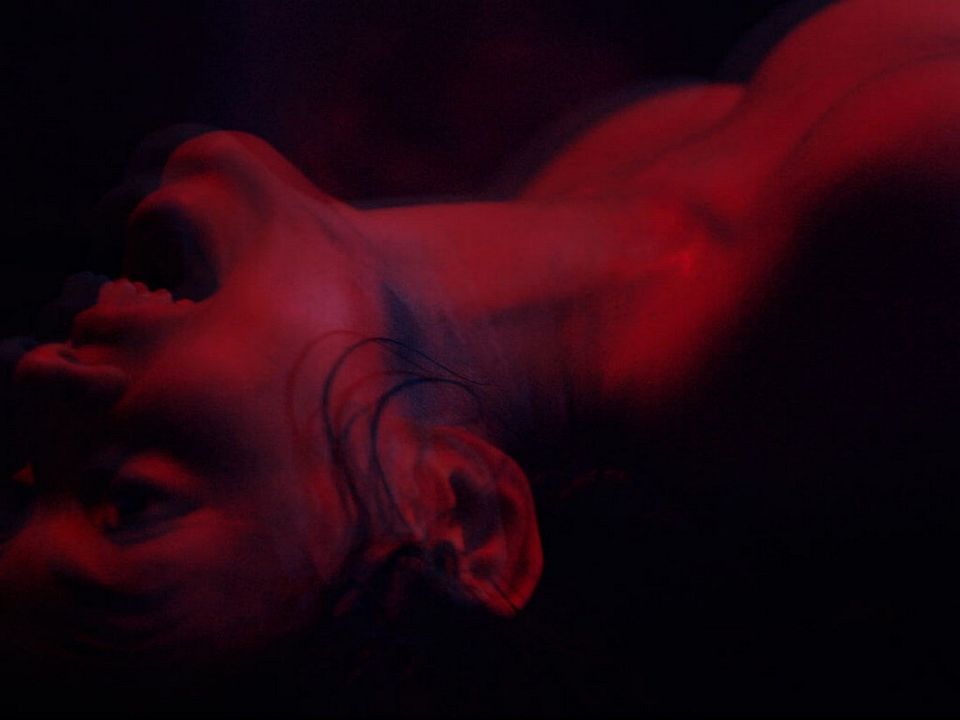 Tenemos la carne : Fotos María Evoli