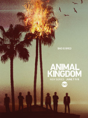 Animal Kingdom : Poster