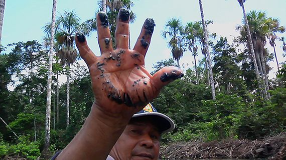 Como abrir mão do mundo (e amar todas as coisas que o clima não pode mudar) : Fotos