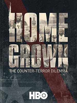 Dentro de Casa: O Dilema do Contra-Terrorismo : Poster