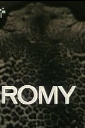Romy - Retrato de Um Rosto : Poster