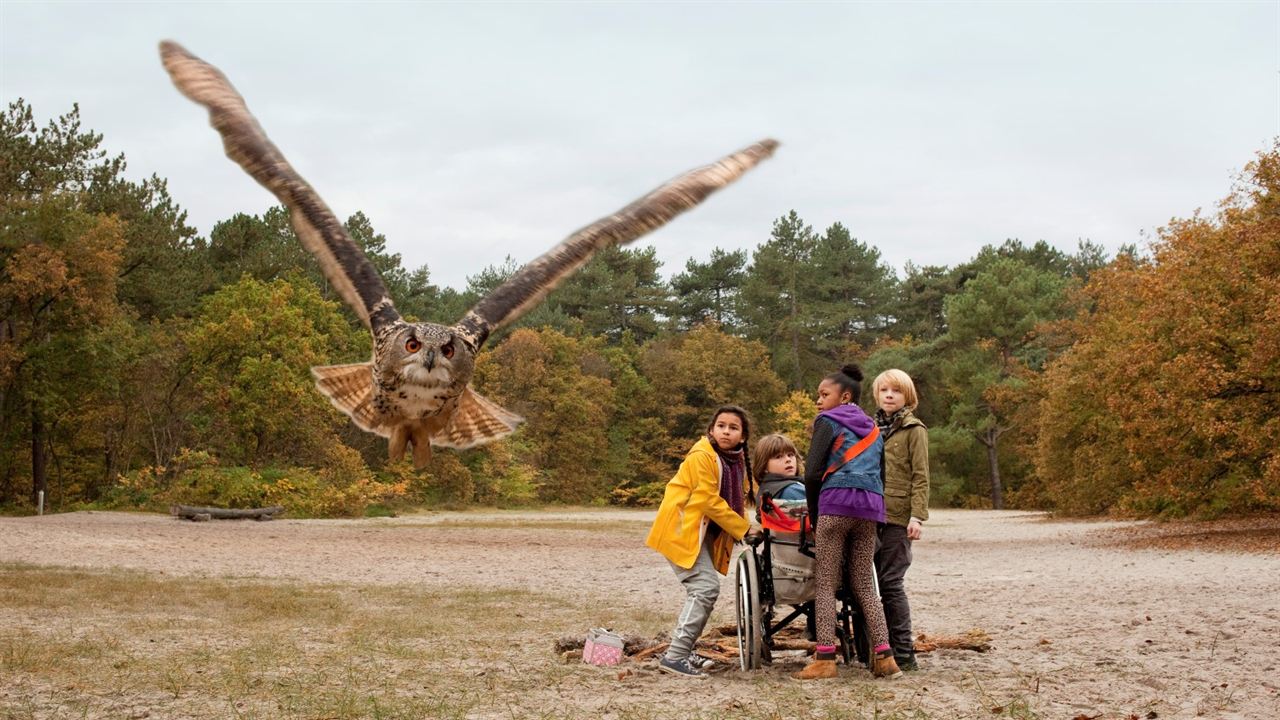 Owls & Mice : Fotos Felix van de Weerdt, Hiba Ghafry, Jashayra Oehlers, Matheu Hinzen