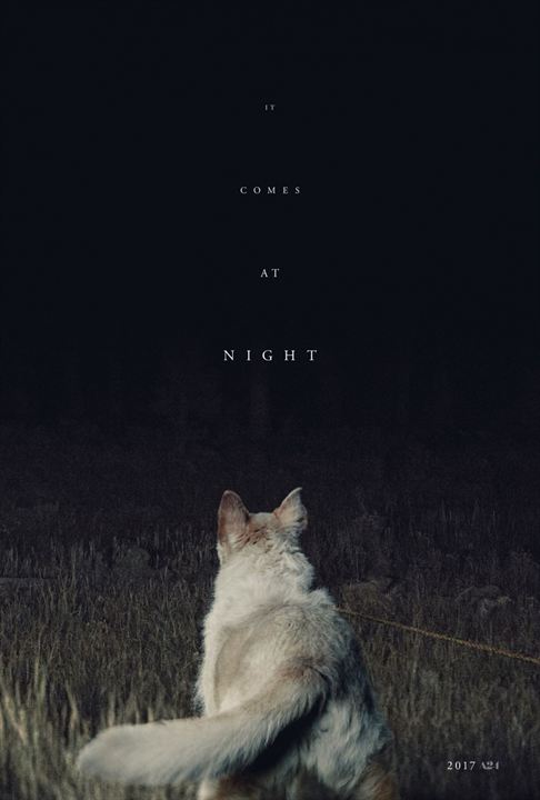 Ao Cair da Noite : Poster