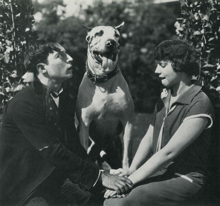 Sete Oportunidades : Fotos Buster Keaton