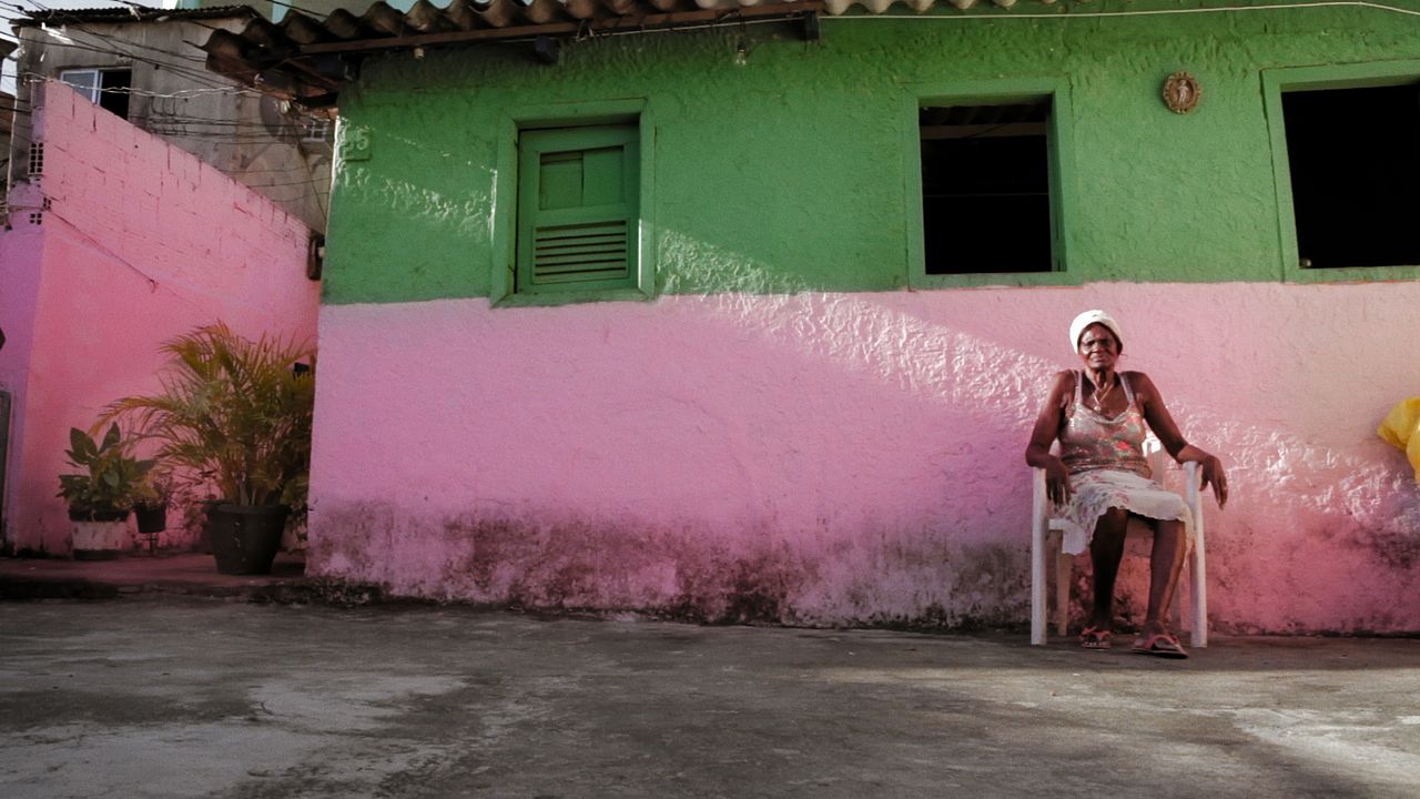 Memória em Verde e Rosa : Fotos