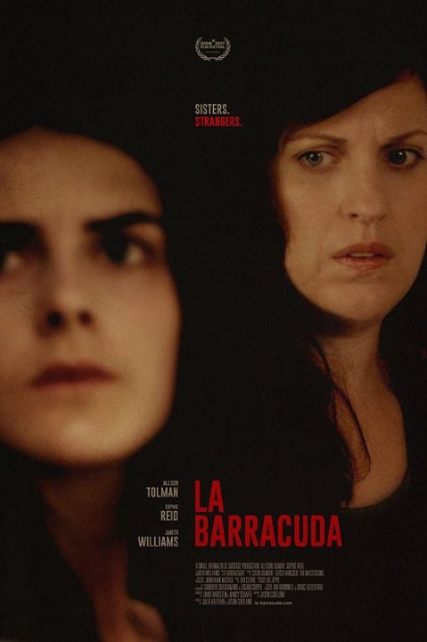 Meia-irmã : Poster