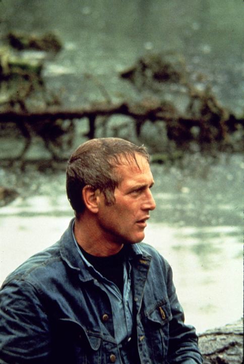 Uma Lição Para não Esquecer : Fotos Paul Newman