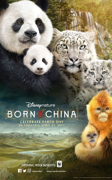 Born In China : Poster
