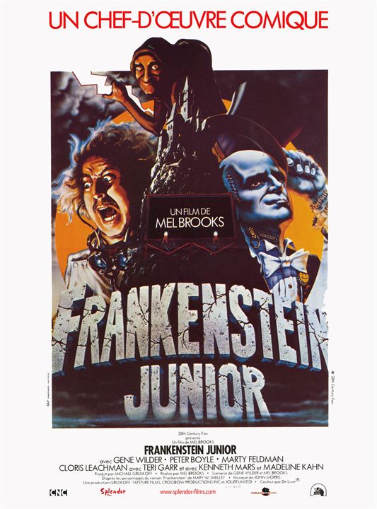 O Jovem Frankenstein : Poster