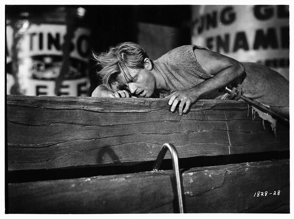 O Incrível Homem que Encolheu : Fotos Grant Williams