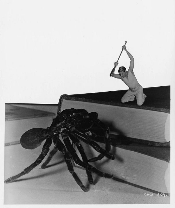 O Incrível Homem que Encolheu : Fotos Grant Williams