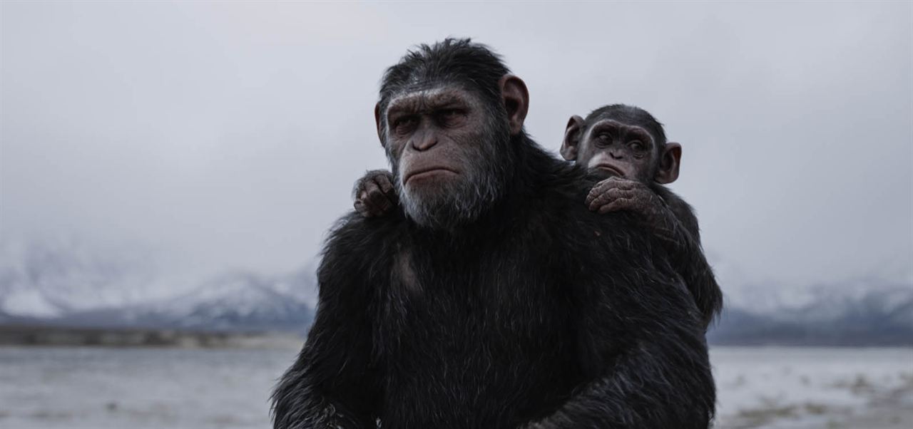 Planeta dos Macacos: A Guerra : Fotos