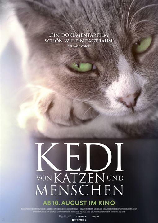 Gatos : Poster