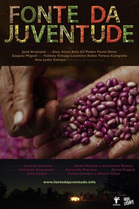 Fonte da Juventude : Poster