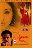 Chandni Bar : Poster