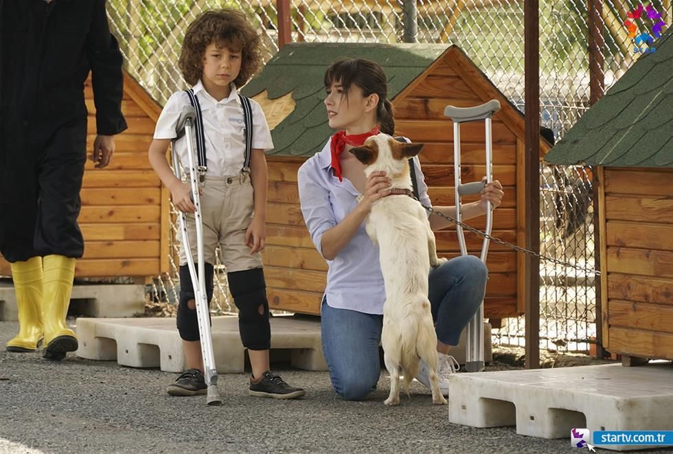 Dolunay : Fotos