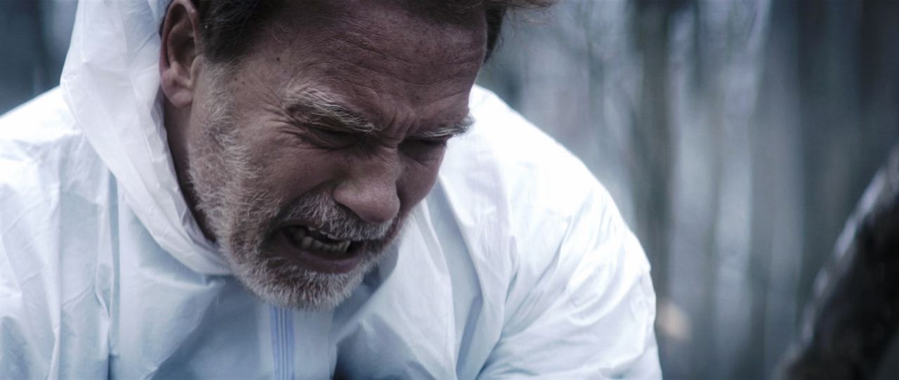 Em Busca de Vingança : Fotos Arnold Schwarzenegger