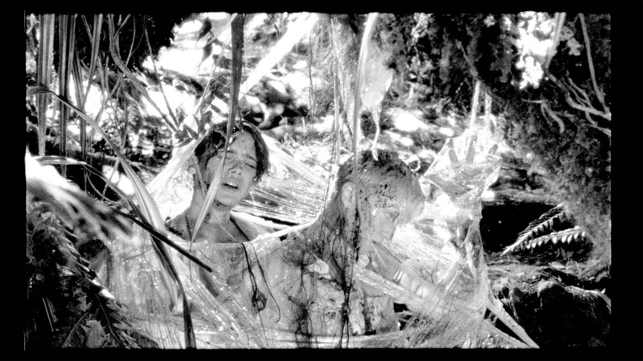Os Garotos Selvagens : Fotos Mathilde Warnier