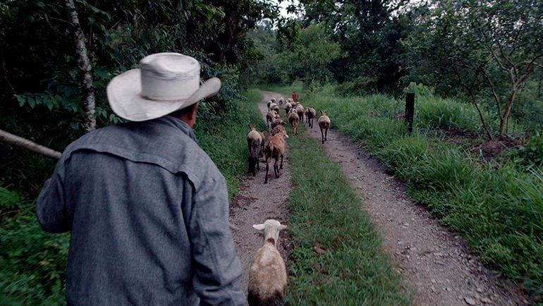 Bosque de Névoa : Fotos