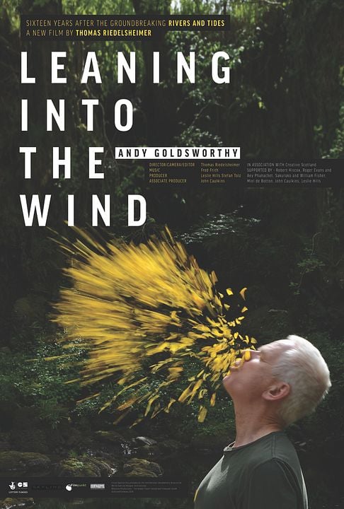 Leaning Into the Wind: Andy Goldsworthy : Poster