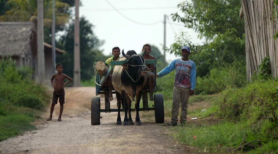 Marambiré : Fotos