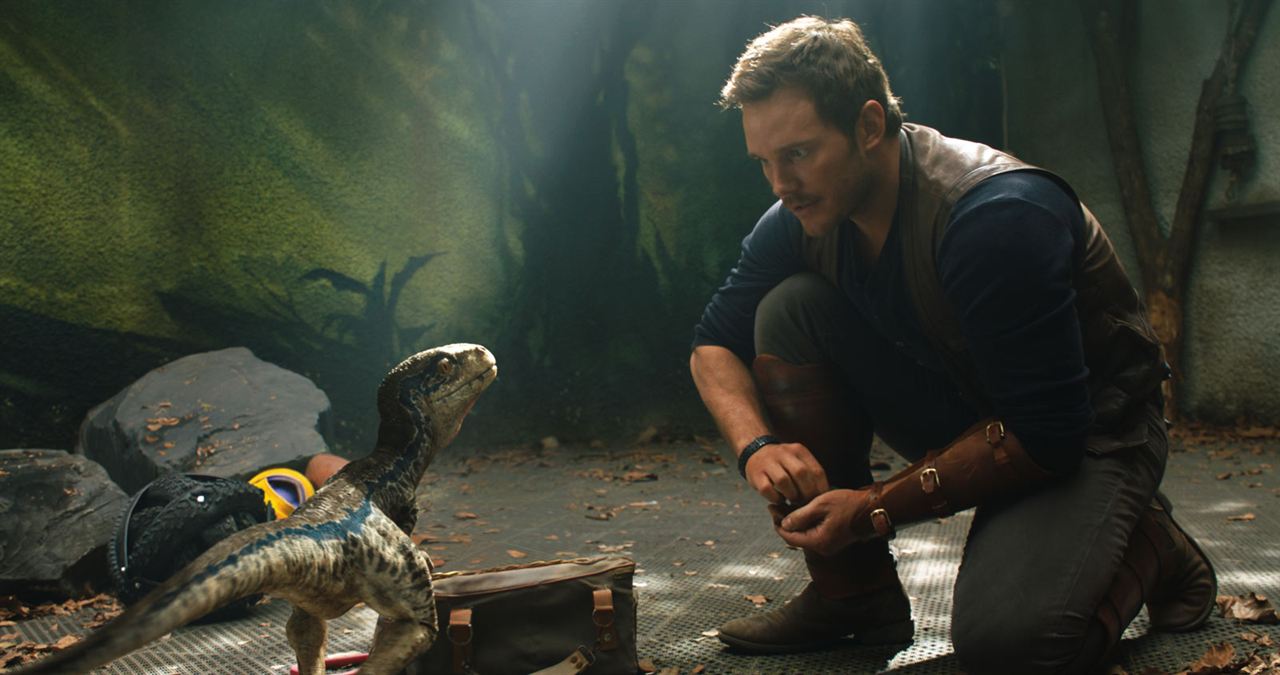 Jurassic World: Reino Ameaçado : Fotos Chris Pratt