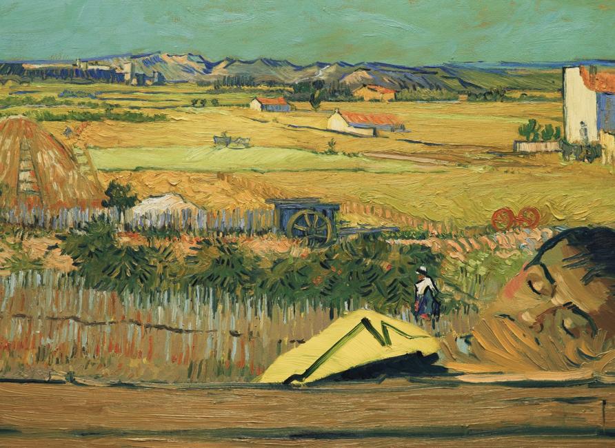 Com Amor, Van Gogh : Fotos