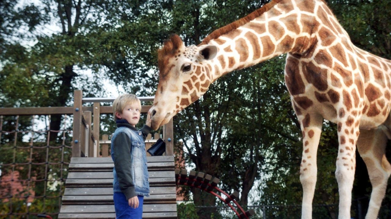 Meu Amigo é uma Girafa : Fotos Liam de Vries