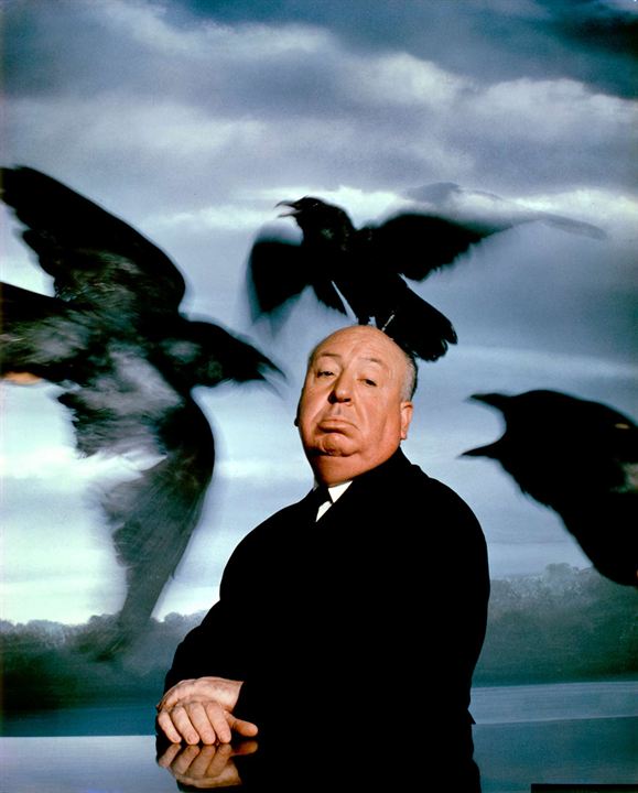 Os Pássaros : Fotos Alfred Hitchcock