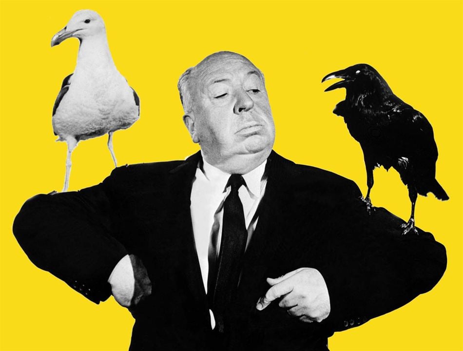 Os Pássaros : Fotos Alfred Hitchcock