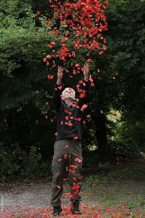 Leaning Into the Wind: Andy Goldsworthy : Fotos