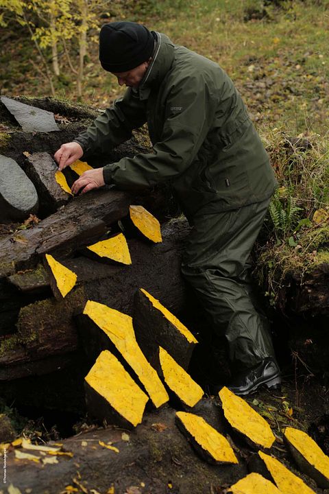 Leaning Into the Wind: Andy Goldsworthy : Fotos