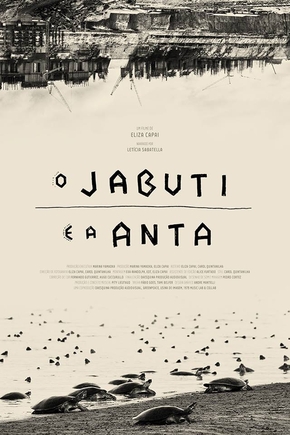 O Jabuti e a Anta﻿ : Poster