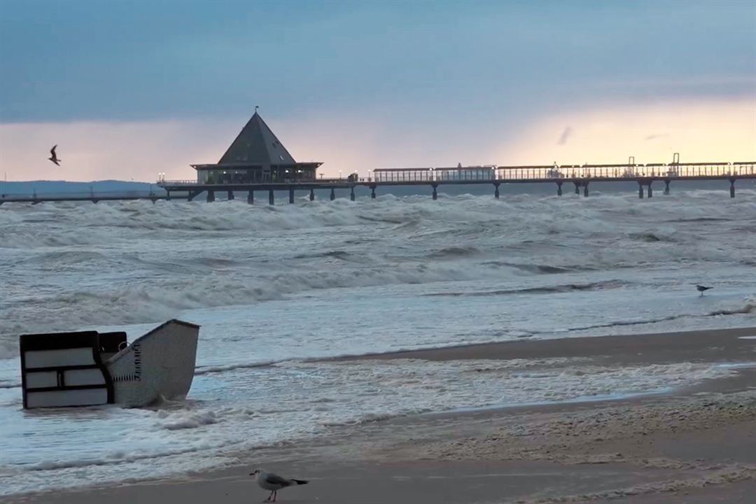 Usedom - Der freie Blick aufs Meer : Fotos