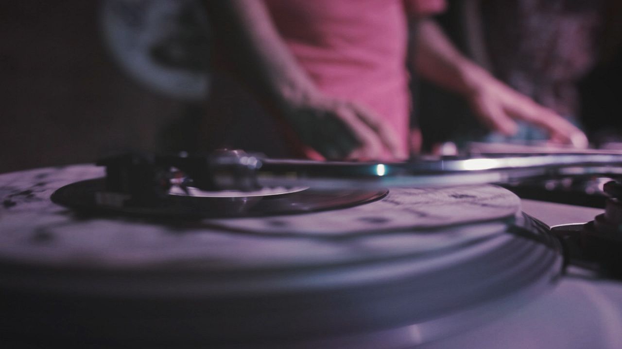 Vinil, Poeira e Groove : Fotos